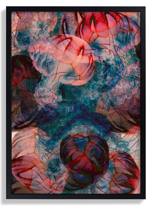 Under the Surface Jellyfish by Julia Charlott