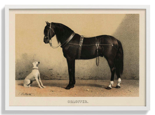 Orloff Pferd & Hund Poster