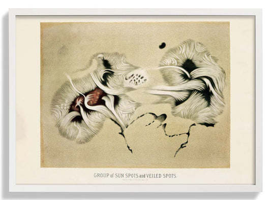 Gruppe von Sonnenflecken