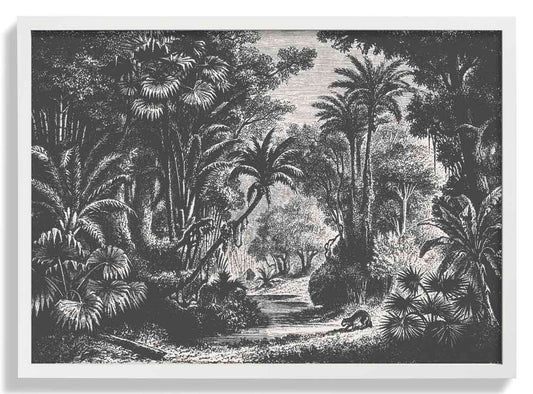 Indischer Dschungel von Astër