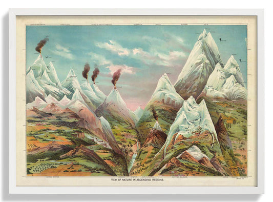 Natur in aufsteigenden Regionen Bildung