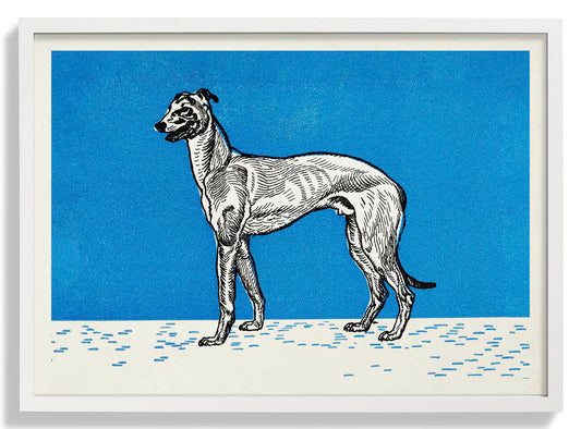 Windhund von Moritz Jung