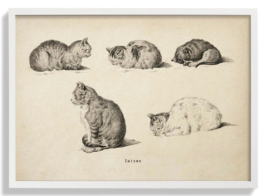 Antique Cats