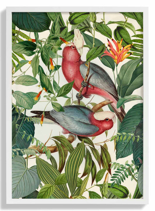 Tropical Parakeets by Andrea Haase