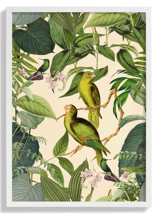 Tropical Parakeet by Andrea Haase