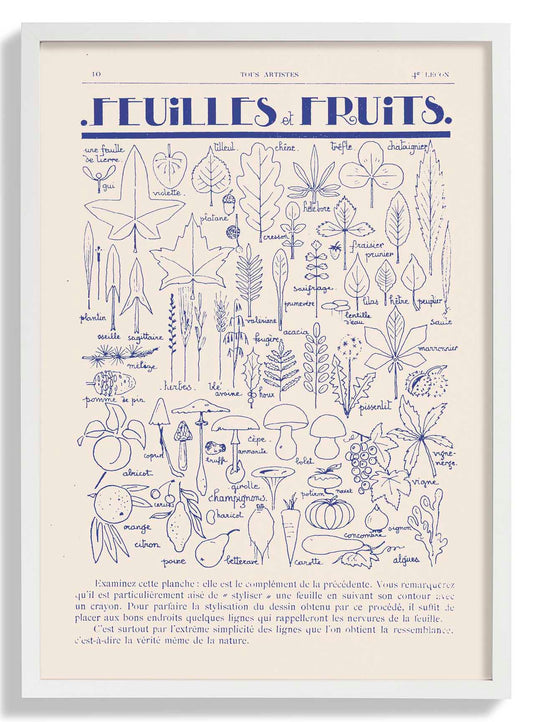 Fleurs et Fruits by Astër