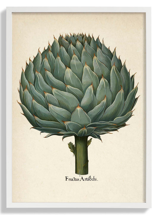 Artichoke