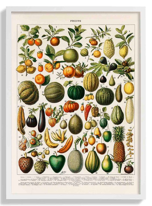 Obst und Hülsenfrüchte Antike Tabelle von Adolphe Millot Poster
