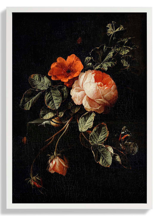 Rosen von van den Broeck Botanisches Poster