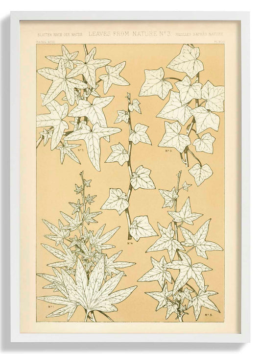 Leaves from Nature Nr 3 by Owen Jones