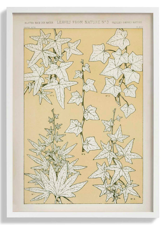 Blätter aus der Natur Nr. 3 B von Owen Jones