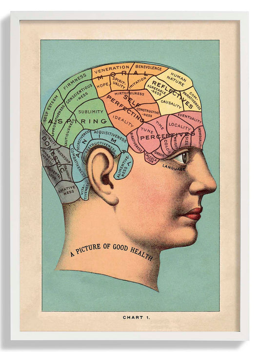 A picture of the good health