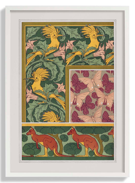 Butterflies, Birds and Kangaroos