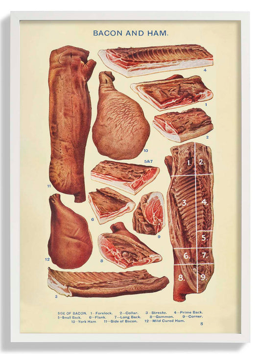 Bacon & Ham from Mrs. Beeton's Household Management
