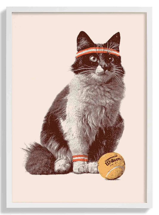 Cat Tennis by Florent Bodart