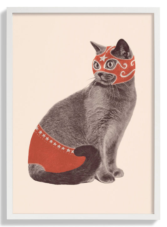 Cat Wrestler by Florent Bodart