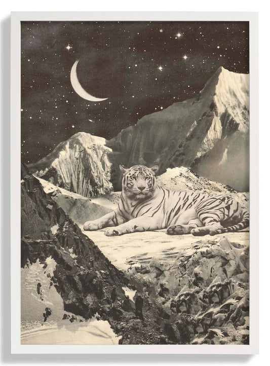 Riesiger weißer Tiger in den Bergen von Florent Bodart