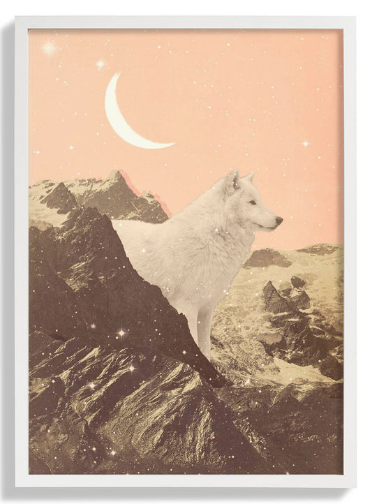 Riesiger weißer Wolf in den Bergen von Florent Bodart