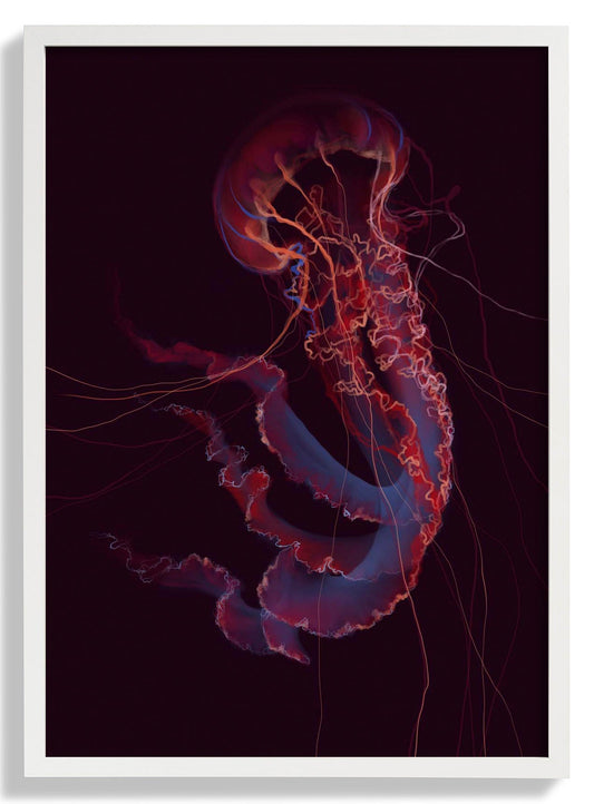 Red Phenomena Jellyfish by Julia Charlott