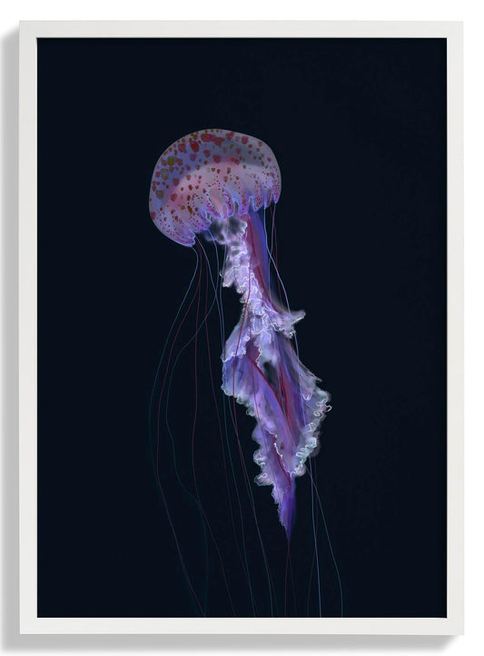 The Unknown Move Jellyfish by Julia Charlott