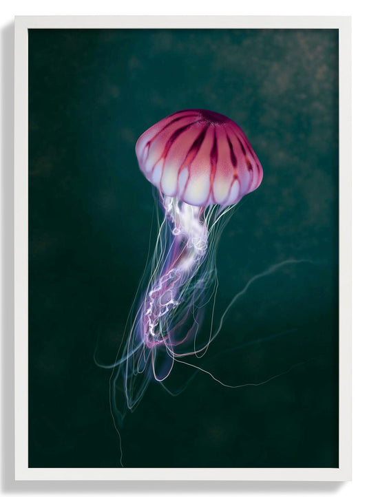 Floating Away by Julia Charlott