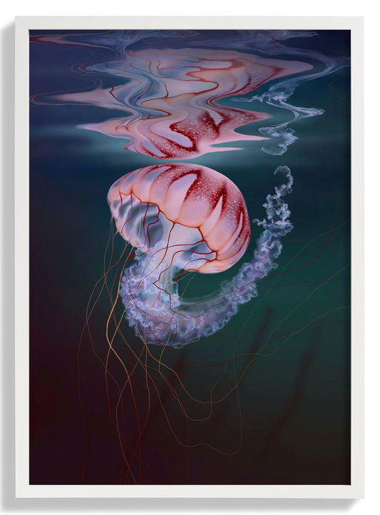 Delicate Light by Julia Charlott