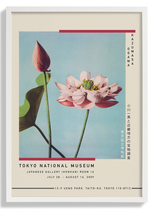 Lotus Flower by Kazumasa Exhibition