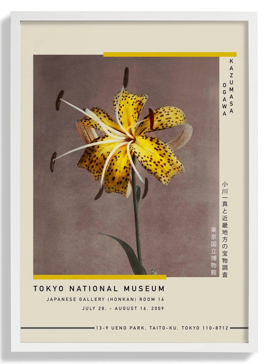 Yellow Lily by Kazumasa Exhibition