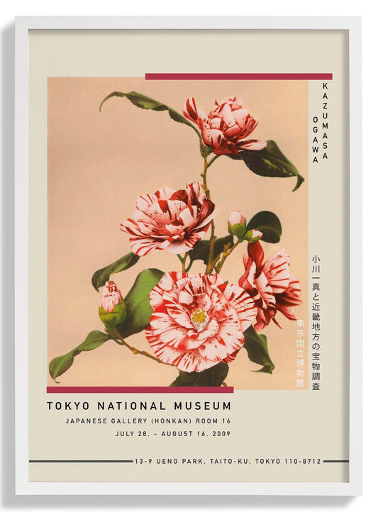 Striped Camellias by Kazumasa Exhibition