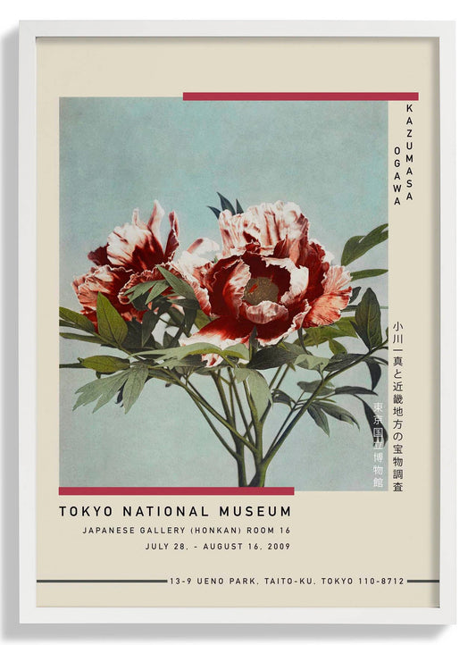 Tree Red Peony by Kazumasa Exhibition