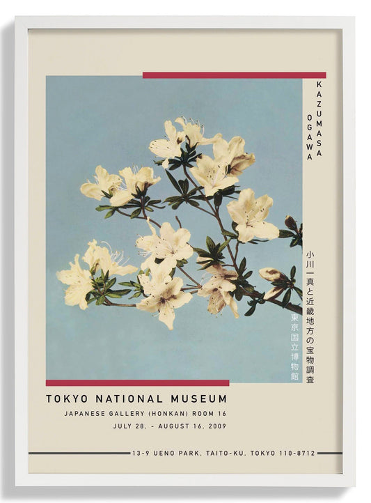 Japanese Azaleas by Kazumasa Exhibition