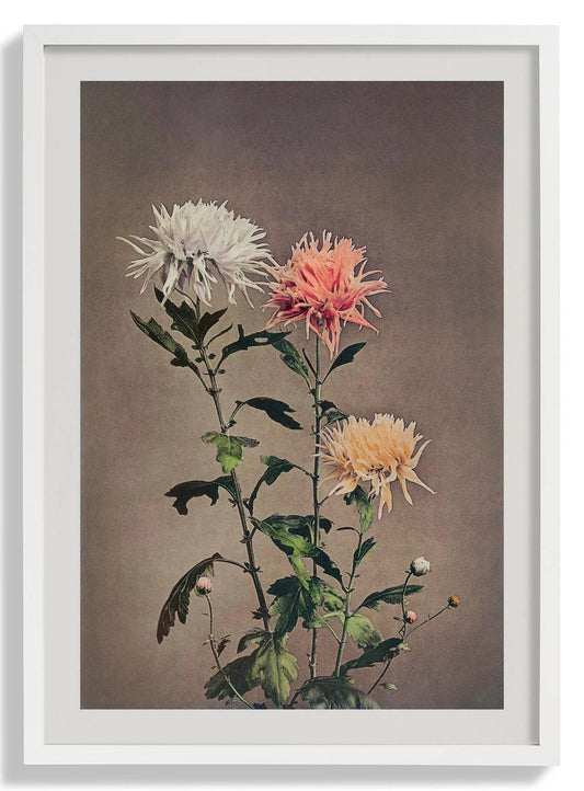 Kin-sui-ro by Ogawa Kazumasa