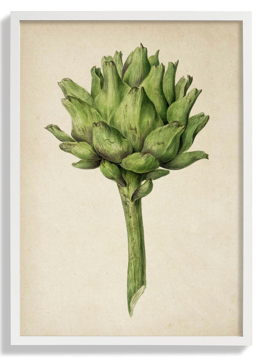 Antique Artichoke