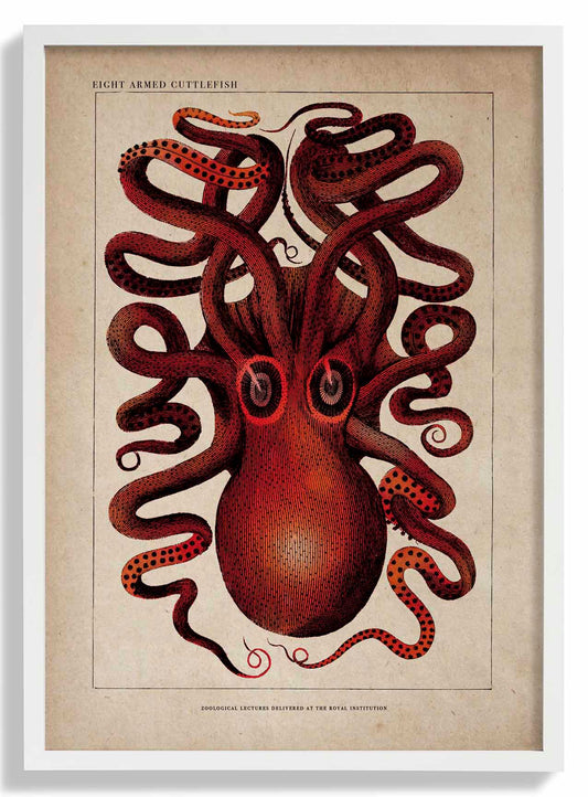 Antique Red Octopus
