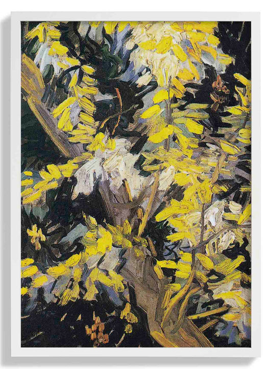 Blossoming Acacia Branches by Van Gogh
