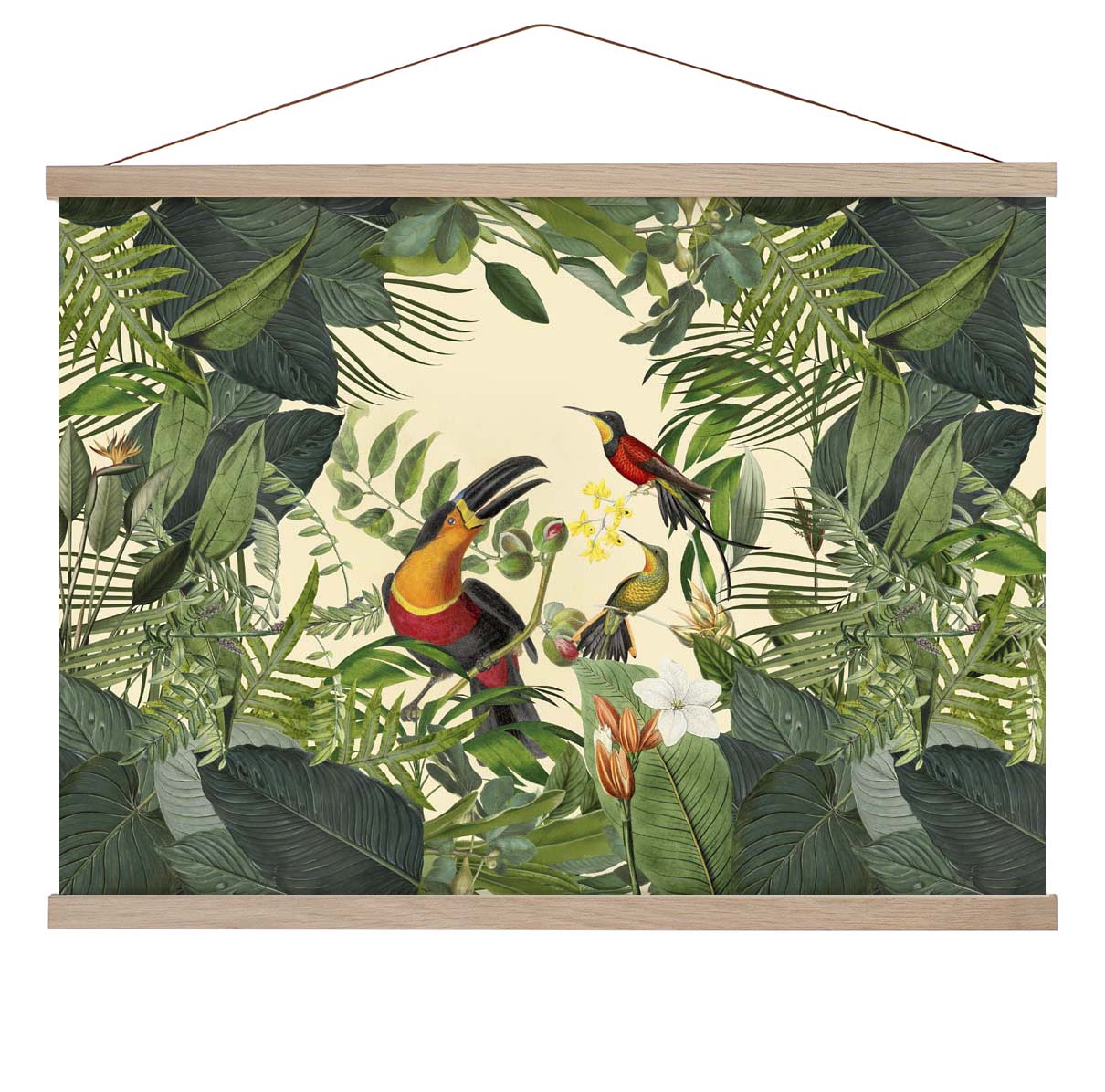 Tropischer Tukan von Andrea Haase