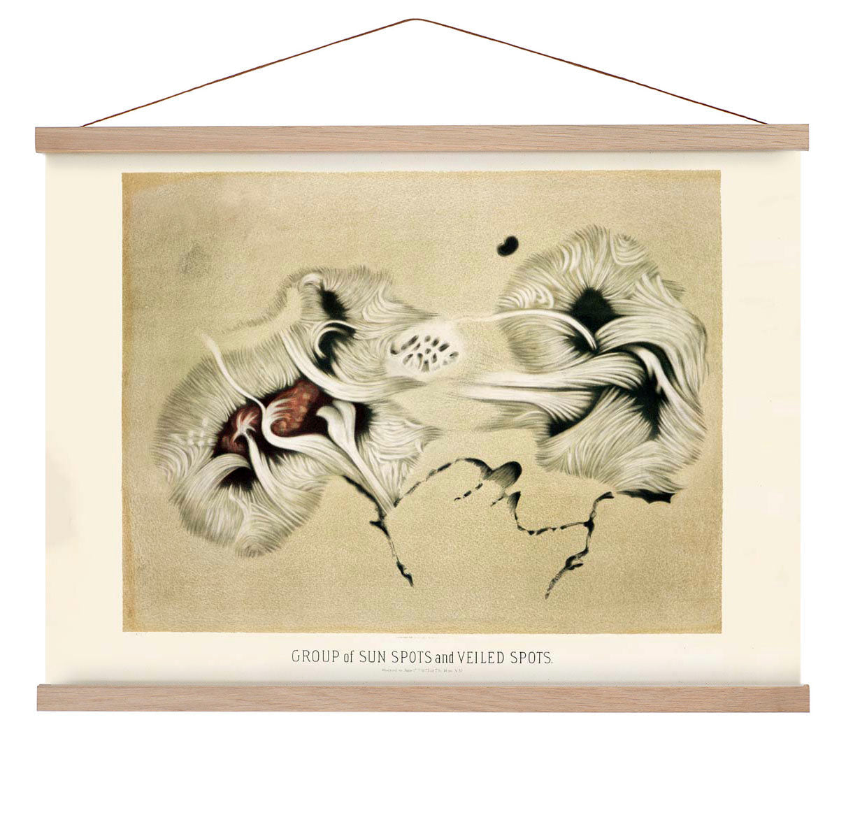 Gruppe von Sonnenflecken