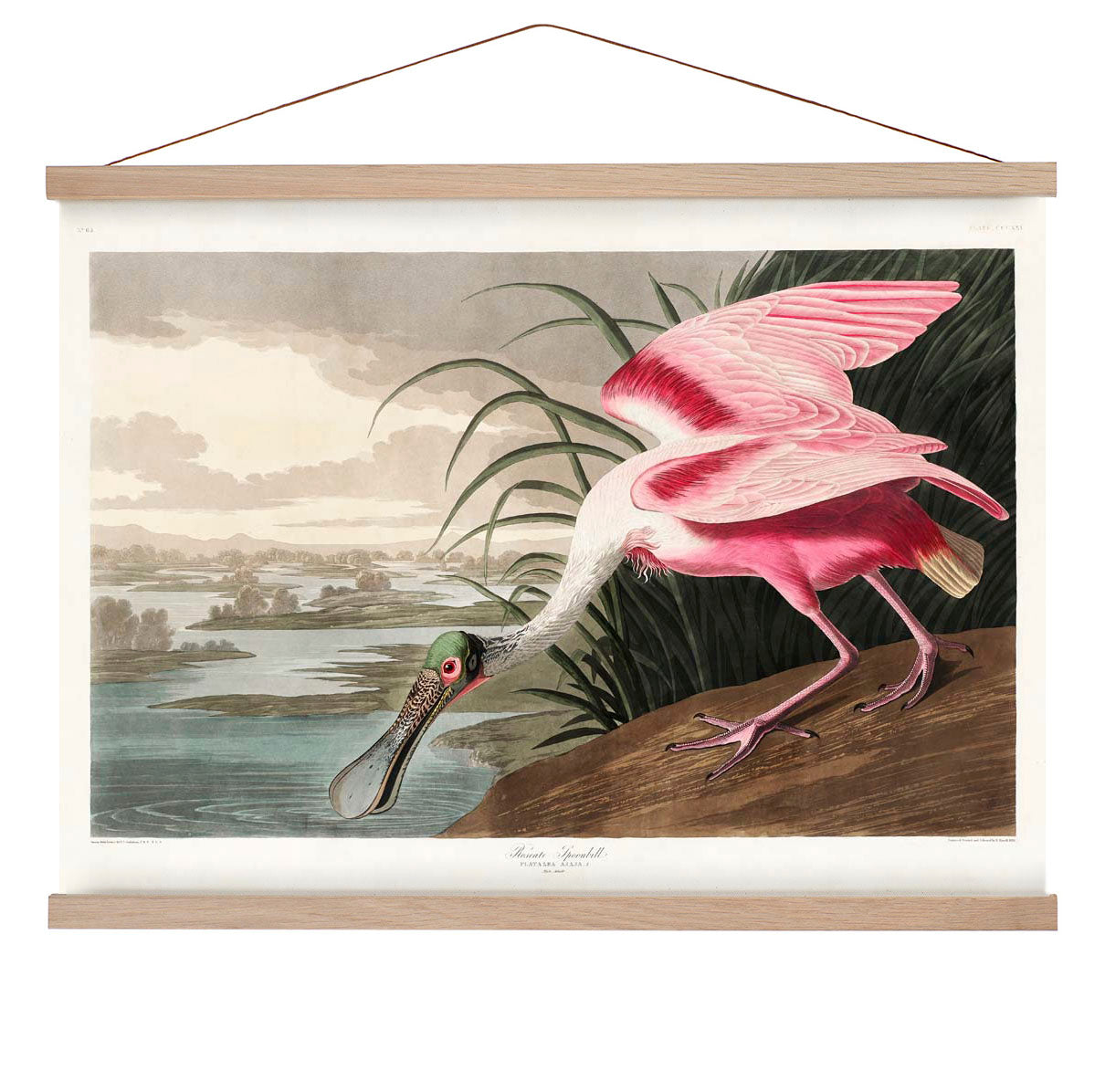 Rosalöffler Vintage Poster