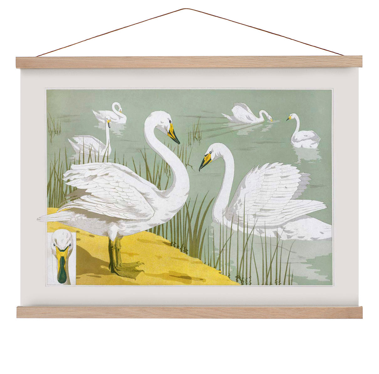 Schwäne im See Poster