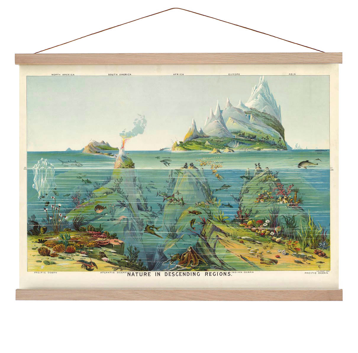 Natur in absteigenden Regionen Bildungsjahrgang