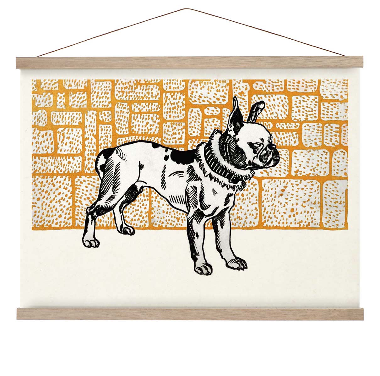 Pitbull Terrier von Moritz Jung