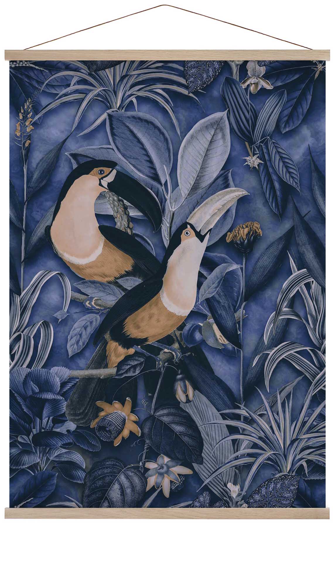 Toucans In The Jungle 3 by Andrea Haase