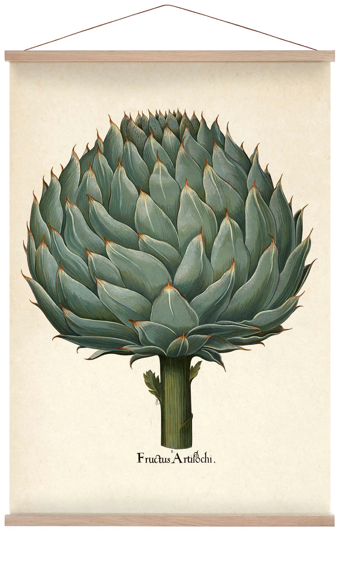 Artichoke