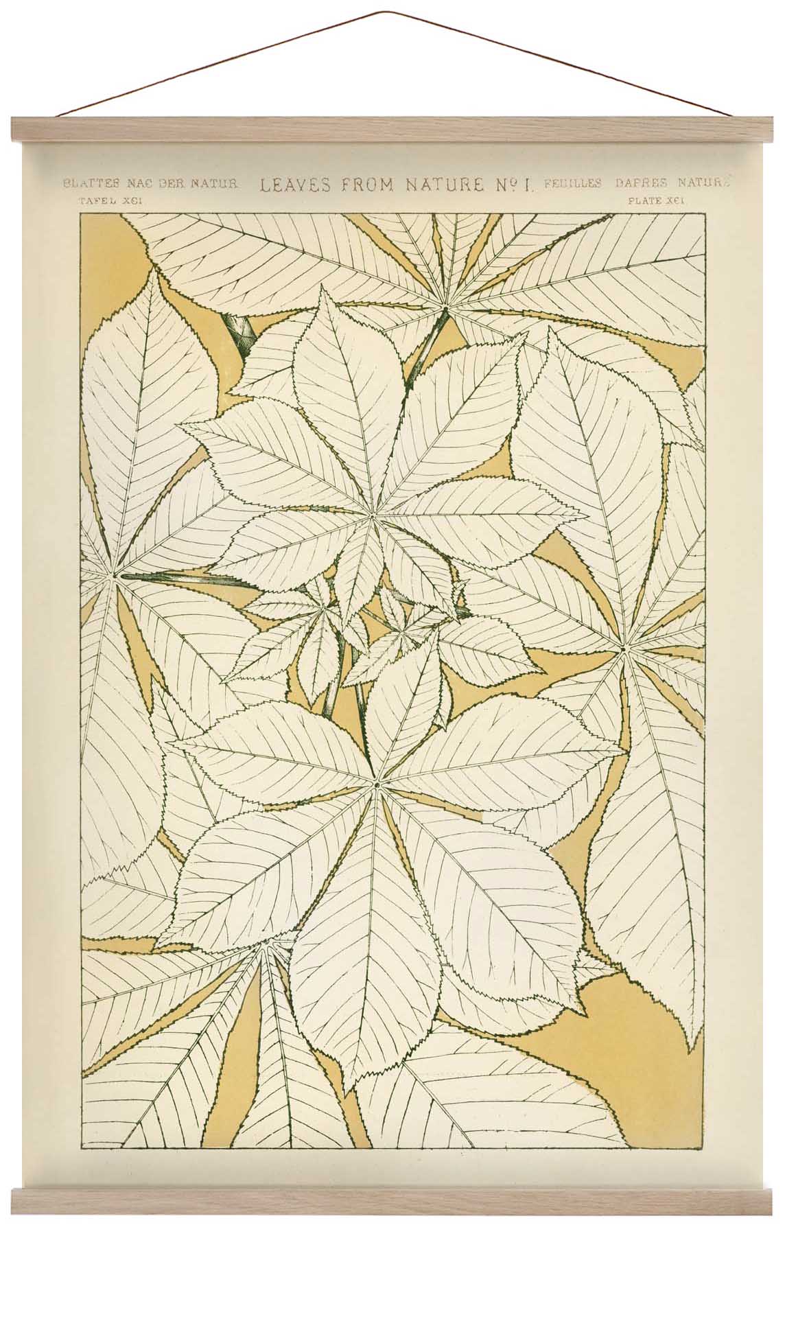 Leaves from Nature Nr 1 by Owen Jones