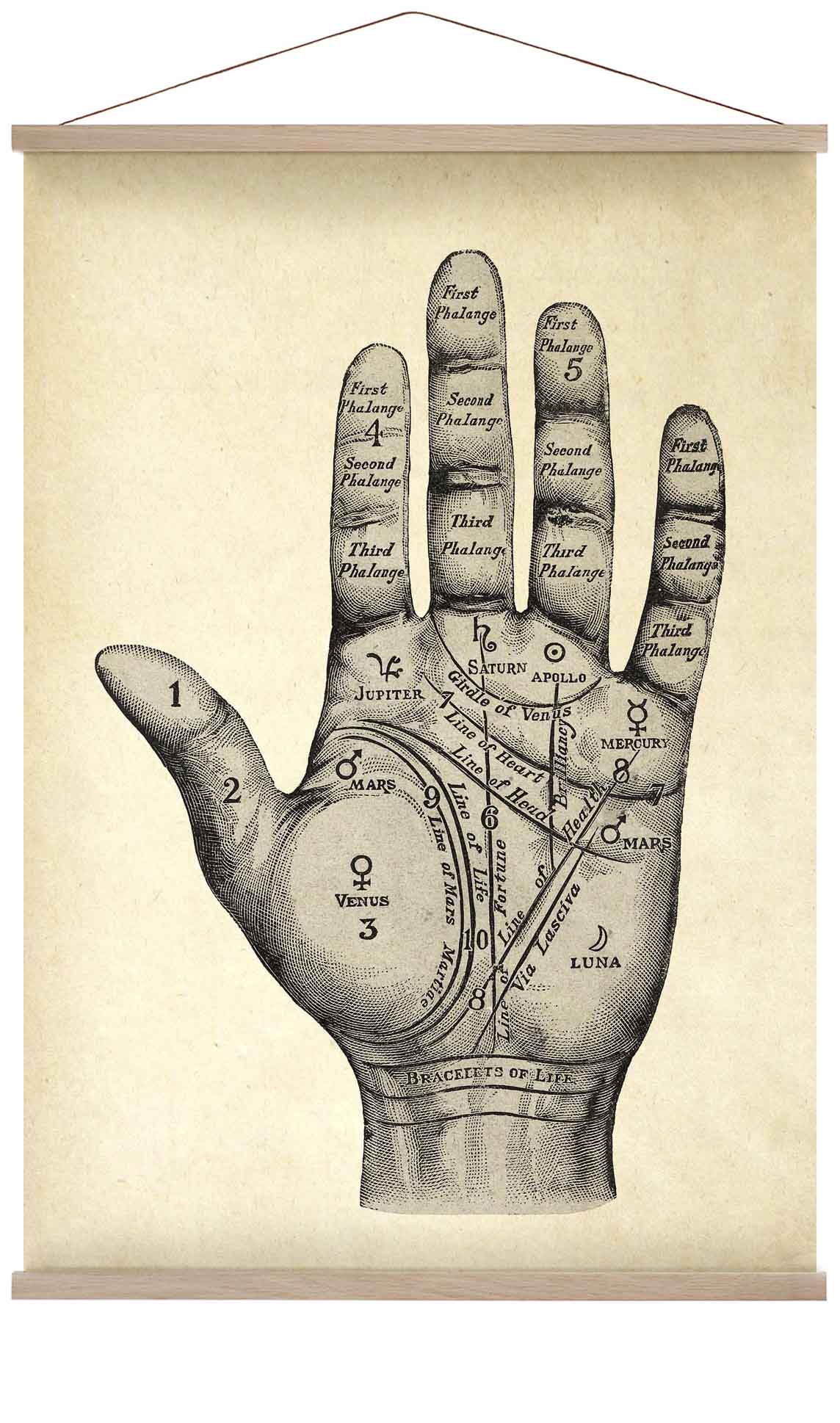 Vintage Mystical Hand - Hübsches Poster einer Handlesekarte
