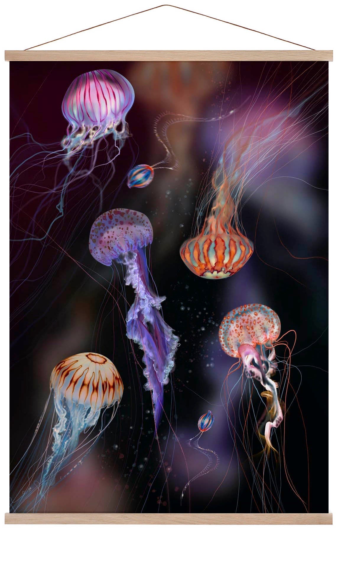 Jelly Party Jellyfish by Julia Charlott
