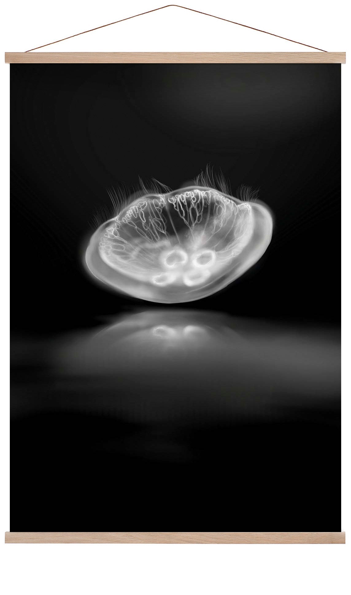 Monochrome Mirror by Julia Charlott