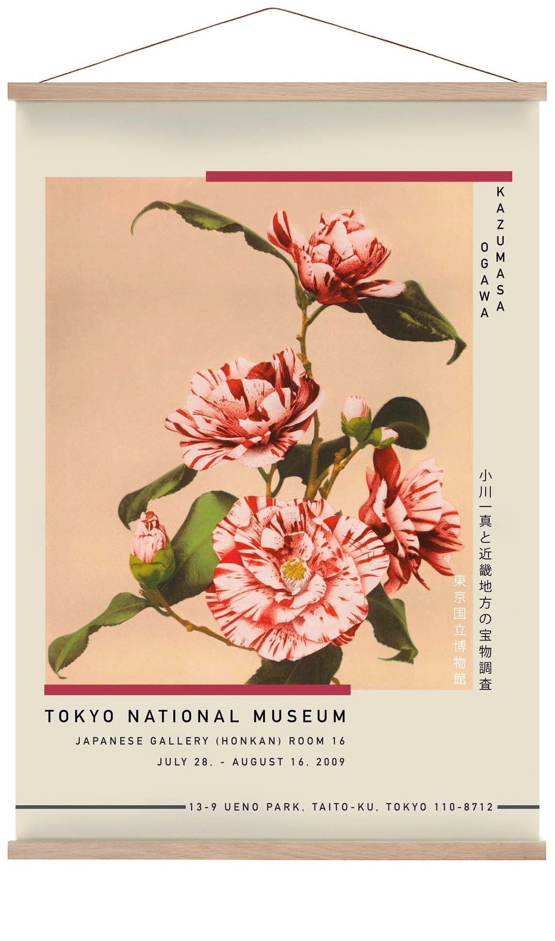 Striped Camellias by Kazumasa Exhibition