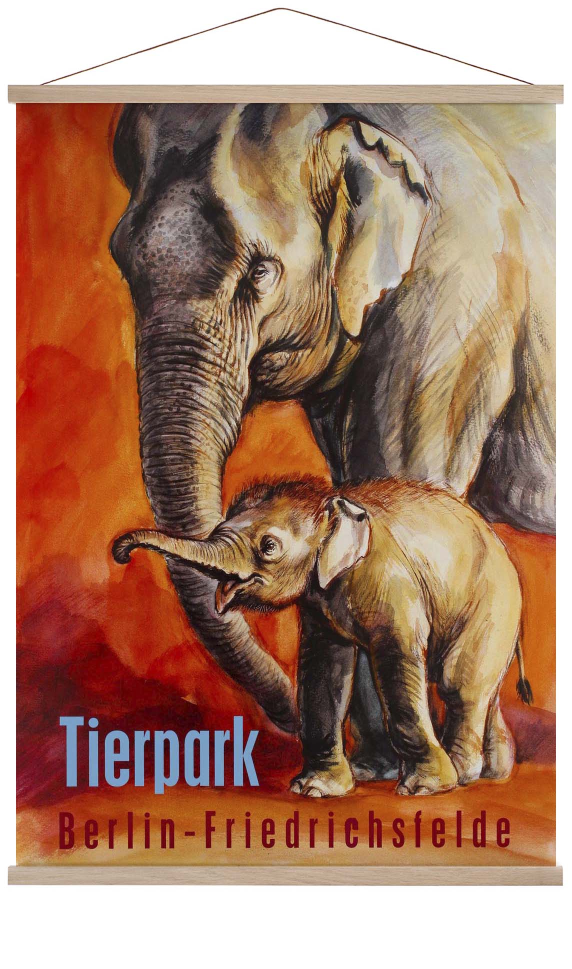 Zoo Tierpark Berlin Elephant