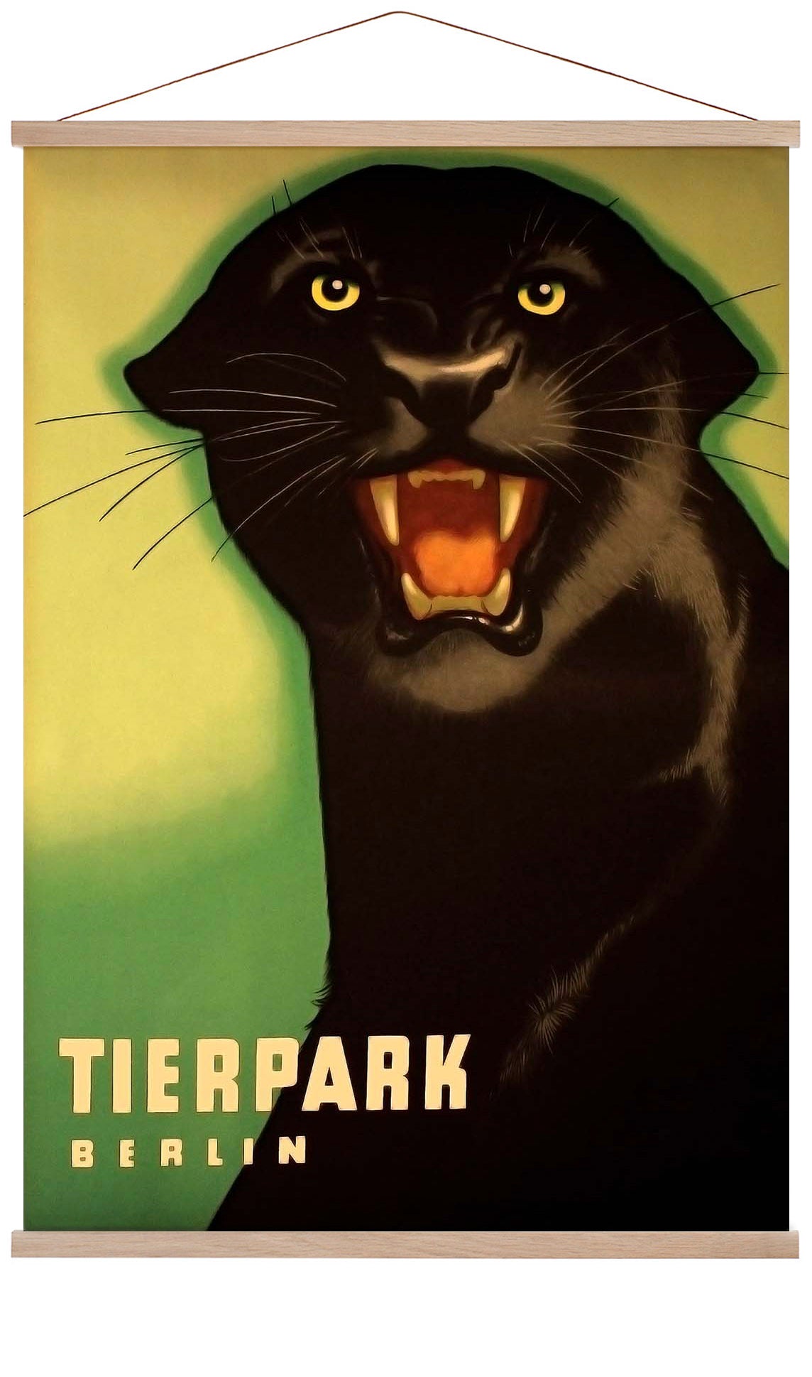 Zoo Tierpark Berlin Panther